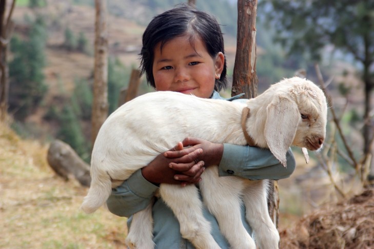 Girl with a Goat: A Serene Moment in Nature